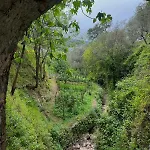 Corte Degli Ulivi 게스트하우스 *