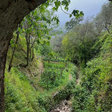 Corte Degli Ulivi Konukevi *