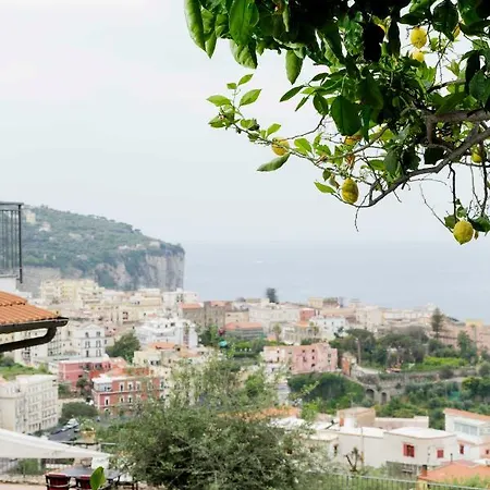 Konukevi Corte Degli Ulivi