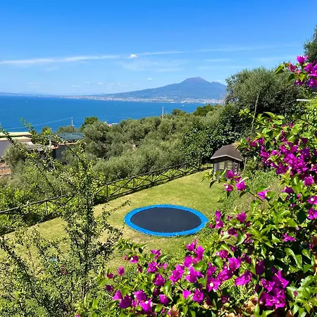 Corte Degli Ulivi Guest house